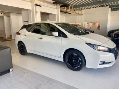Leaf 39 Kwh Direktantrieb Tekna